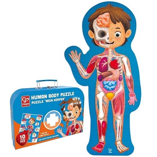 Hape hot sale body puzzle